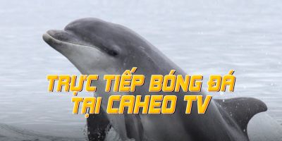 Link xem trực tiếp Caheo TV chính thức không quả cáo full HD